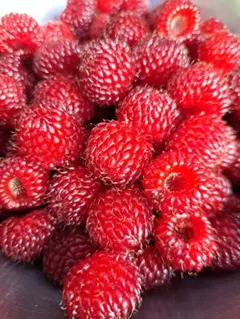 青プラム ハリウッド 3キロ位 除草剤不使用 - メルカリ