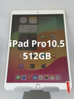 iPad Pro10.5 512GB