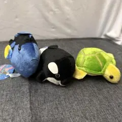 マリンパーク キラキラぬいぐるみ ナンヨウハギ　シャチ　亀のサムネイル