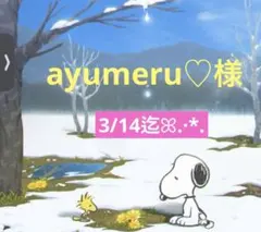 ayumeru♡様 専用ページ