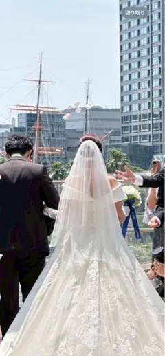 【美品】タカミブライダル　シフォンウェディングベール