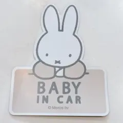 Item thumbnail for item c2bb3b17-0778-4af4-82ca-e3460f257b04