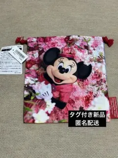 ディズニーリゾート★ミニー★巾着★きんちゃく★蜷川実花★イマジニングザマジック②