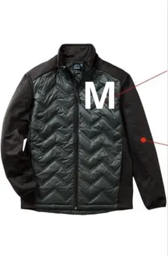 Item thumbnail for item 9e523162-a0fa-485a-8af4-0960f43e9b69