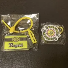 Jリーグ　柏レイソル　マルチチャーム　メタルチャーム