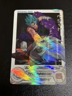 まとめ売り　孫悟空　ゴクウブラック　自動表記　ベジット　ドラゴンボールヒーローズ 超サイヤ人4 ゴクウブラック : r/DragonballLegends
