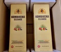 Item thumbnail for item c4ff960d-2fa4-4538-a6de-65618290caa7