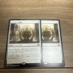 藪跳ねアヌーリッド 2枚 - メルカリ