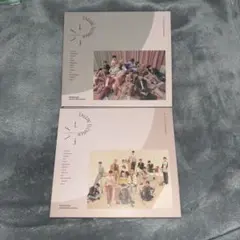 SEVENTEEN 舞い落ちる花びら cd 2枚セット