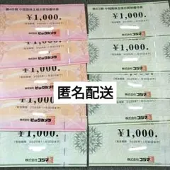 ビックカメラ コジマ 株主優待券 10000円分