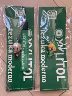 【新品未使用】XYLITOL tezuka moderno キシリトール 手塚