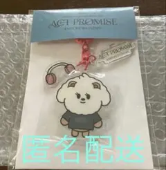 TXT ACT: PROMISE キーホルダー バムグッ　新品未開封　ボムギュ