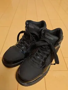 Item thumbnail for item 40d64861-6e5d-4382-a7cb-3f4089983038