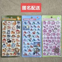 【正規品】 ボンボンドロップシール ボンドロ 和柄 柴犬 富士山 桜 3点セット