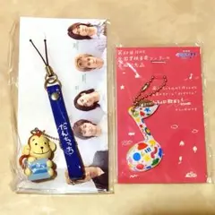 【未開封】 ARASHI ピカ☆ンチ だんちっち ストラップ　嵐　ピカンチ　他のサムネイル