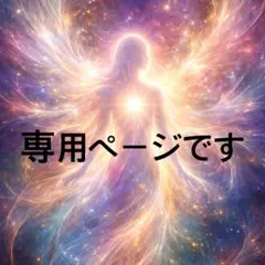 Ko-ka様専用です