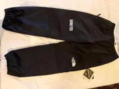 入手困難　THE NORTH FACE GORE-TEX マウンテンパンツ M