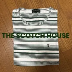 ストライプ柄 Tシャツ ホワイト/グリーン