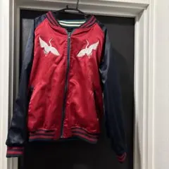 Item thumbnail for item 9a888a94-23c6-4cd5-ab70-191c96bea28f