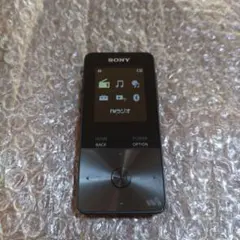 ウォークマン s313