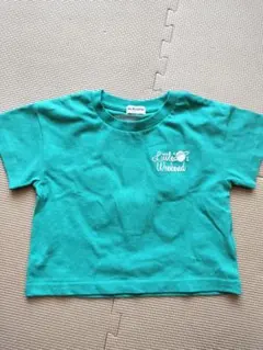 Item thumbnail for item 28435f70-d8c7-453c-b3c4-684b5f23fdb2