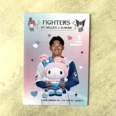 日ハム 鎌スタ カビー ぬいぐるみ 野村祐希 直筆サイン入り 2026年最新】野村祐希の人気アイテム - メルカリ