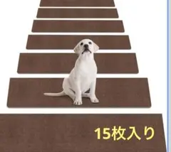 Item thumbnail for item a9ef34b9-d328-4d78-aadd-144659cd5661