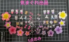 プルメリア ハイビスカス 南国 デコパーツ 日焼けキティちゃん ガングロ