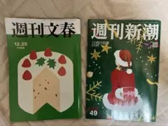 Item thumbnail for item 004ab6a5-49ff-4245-ad3a-e8345197ce1a