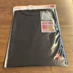 ヒートテック 100