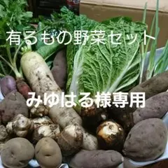 みるはる様専用