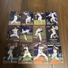 Item thumbnail for item bb17738a-f652-4a95-88e3-75e6e778e866