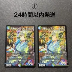 24時間以内発送】 流星のガイアッシュ・カイザー 2枚セット 神アート