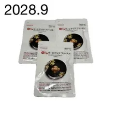 値上げ検討中！Vitabrid ターミナルファースト120粒 30回分×3セット