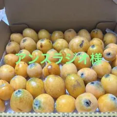 埼玉県産びわ(訳あり)のサムネイル
