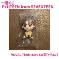【未開封】一番くじ PetiTEEN ボカチ ぬいぐるみ【ドギョム】
