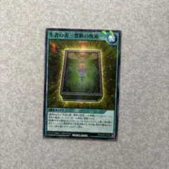 2026年最新】遊戯 生者の書の人気アイテム - メルカリ