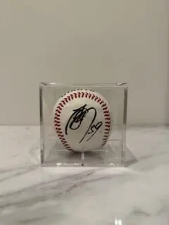 Item thumbnail for item 4cf2d326-a75a-4f79-8b93-2816e56a4636