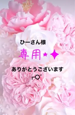 ひーさん様専用⋆✦【27】【51】2シート組み合わせ自由⋆✦