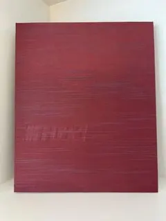 【新品未開封】piezoglyph #FF0921 2026年最新】piezoglyphの人気アイテム - メルカリ