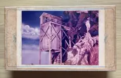 Item thumbnail for item 01df69ed-8cb4-43c1-9bb0-e854a2ae95e9