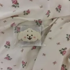 nct wish うちわアクセサリー　ジェヒ