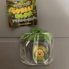 こびとづかん つかまえた！むしかご アクリルキーホルダー スモモノウチ