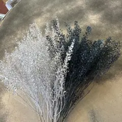 Item thumbnail for item 41dda3c0-1d45-4904-9404-9bfc0323ab13