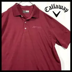 【Callaway】メッシュボーダー　BNSFアメリカの貨物鉄道会社企業ロゴのサムネイル