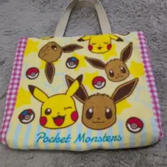 ポケモン　イーブイ 　レッスンバッグ