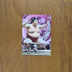 千代大海 直筆サイン入りトレーディングカード 2000年 九重部屋 親方