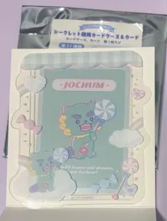 JOCHUM ヤヌカミ 硬質カードケース