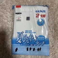 20.GUNZE 半ズボン下前あき　二枚組　M