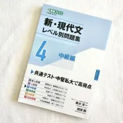 新・現代文レベル別問題集 4 中級編